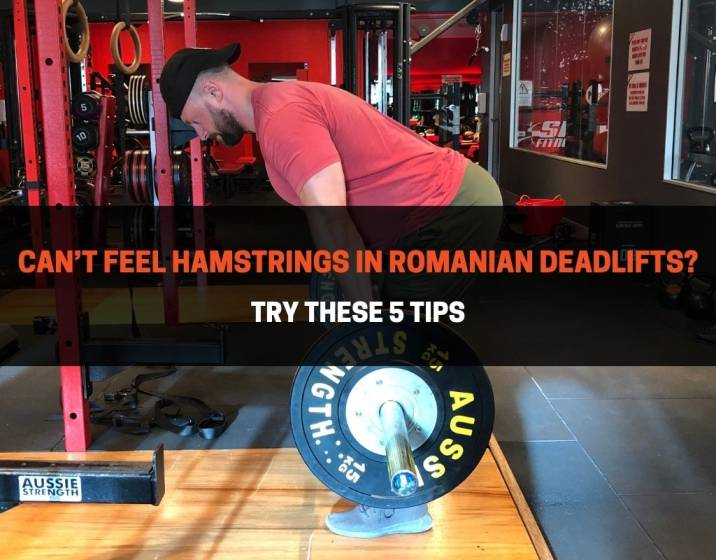 Can’t Feel Hamstrings In Romanian Deadlifts