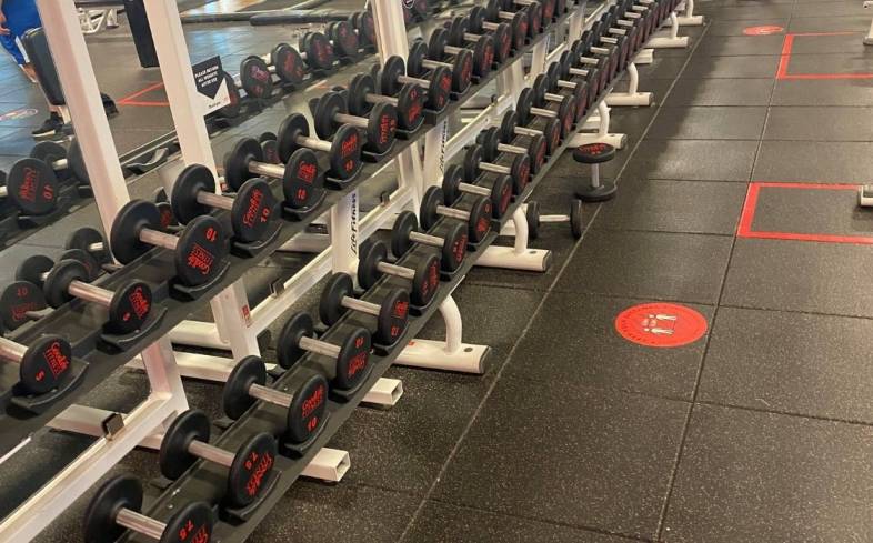 Goodlife fitness weights new arrivals