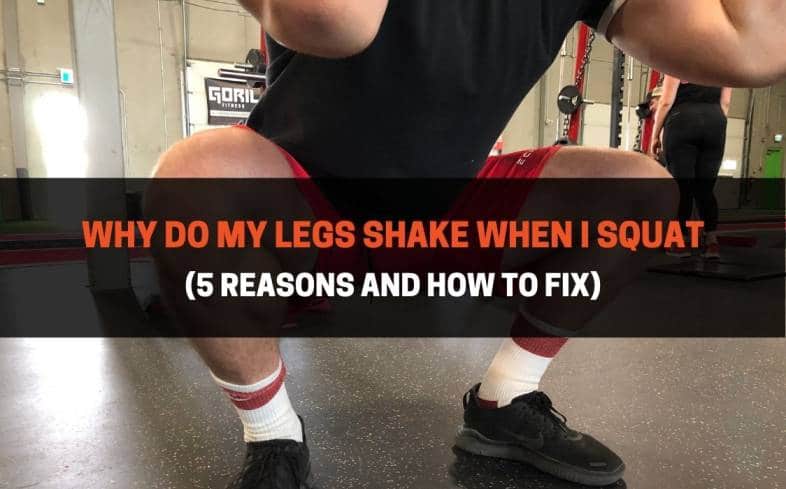 legs shaking in the squat happens due to muscle fatigue, which usually occurs with high rep training