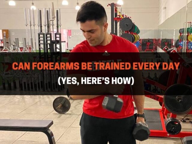 Can Forearms Be Trained Every Day (Yes, Here’s How)