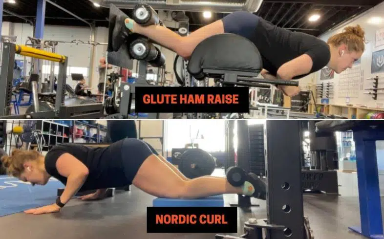 Glute Ham Raise Nordic Cons | PowerliftingTechnique.com