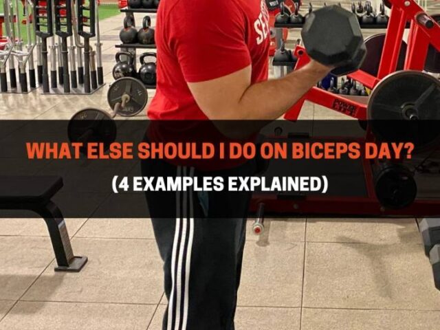 What Else Should I Do On Biceps Day? (4 Examples)