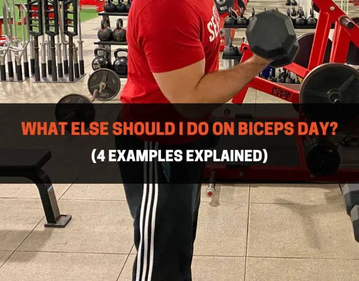 What Else Should I Do On Biceps Day