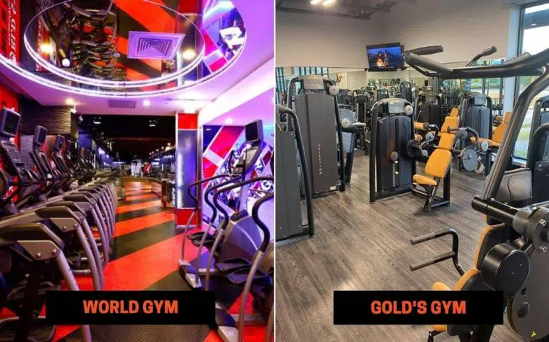 World Gym vs Gold's Gym Equipment