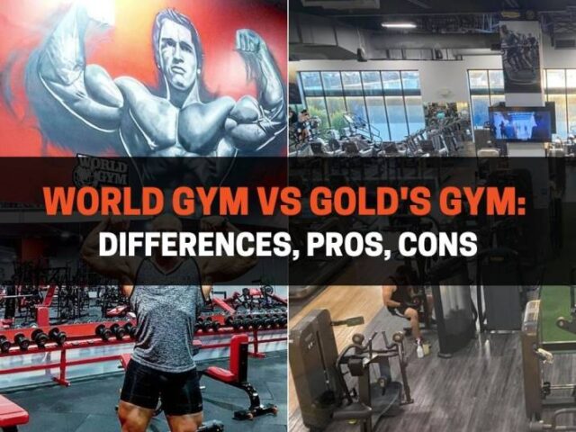 World Gym vs Gold’s Gym: Differences, Pros, Cons