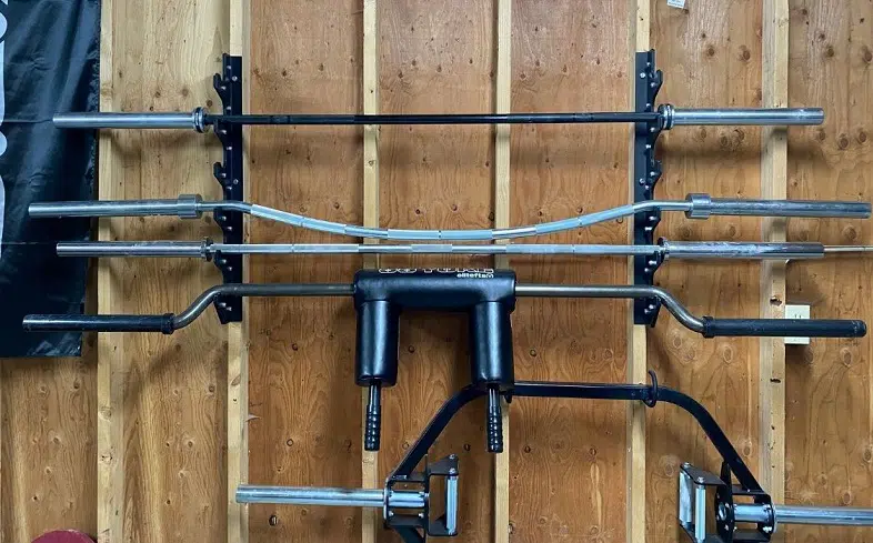 different barbells