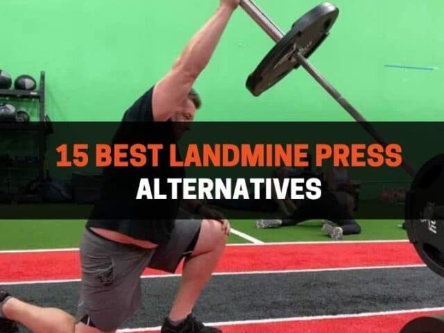 15 Best Landmine Press Alternatives (With Pictures)