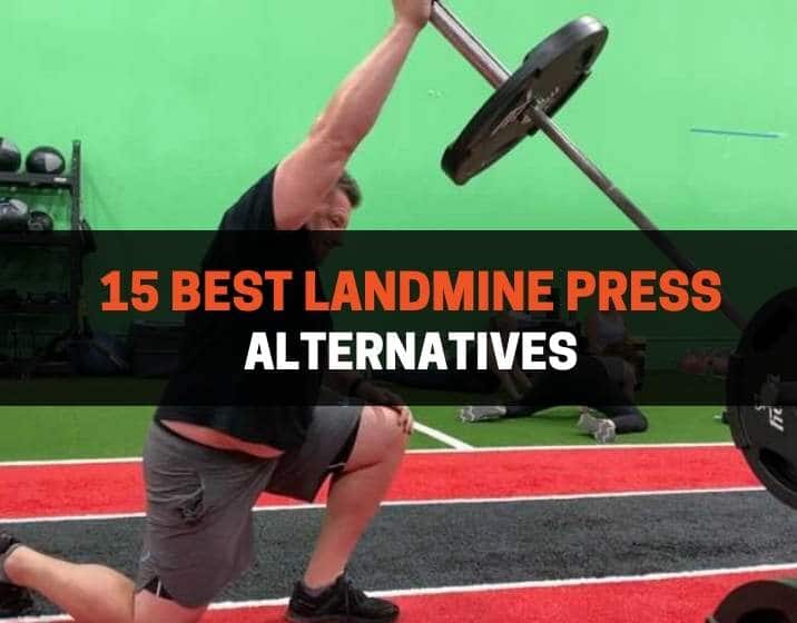 15 Best Landmine Press Alternatives
