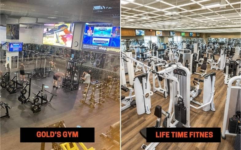 Gold’s Gym vs Life Time Fitness Differences