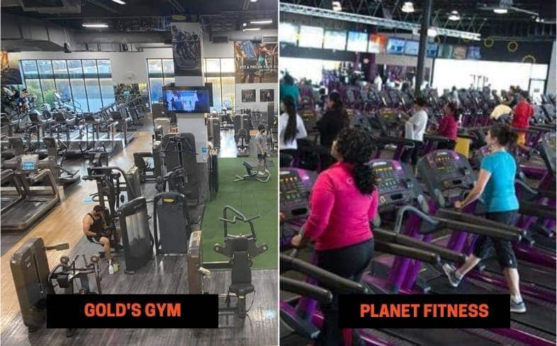 Gold's Gym vs Planet Fitness Differences