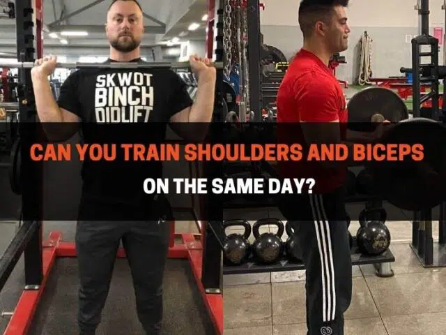 Can You Train Shoulders And Biceps On The Same Day?