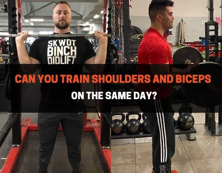 Can You Train Shoulders And Biceps on the Same Day?