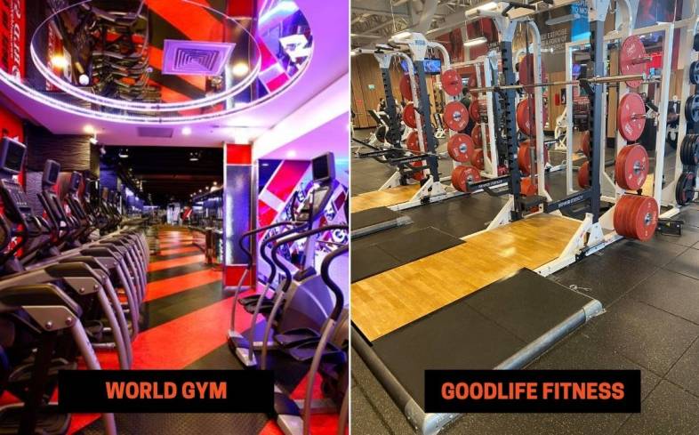 World Gym vs GoodLife Fitness Equipment