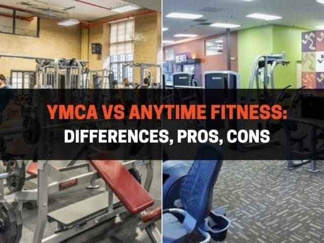 YMCA vs Anytime Fitness: Differences, Pros, Cons