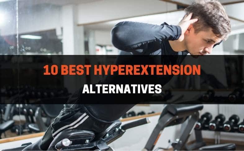 10 Best Hyperextension Alternatives (With Pictures)