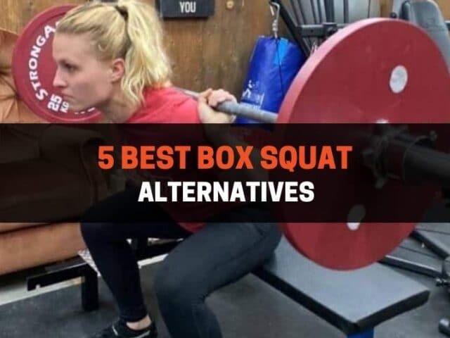 5 Best Box Squat Alternatives (With Pictures)