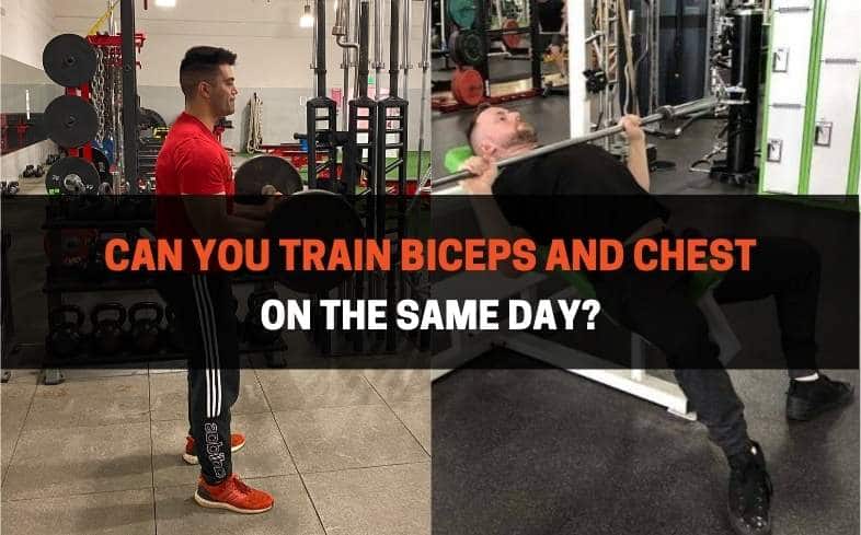 Can You Train Biceps And Chest On The Same Day (3 Benefits)