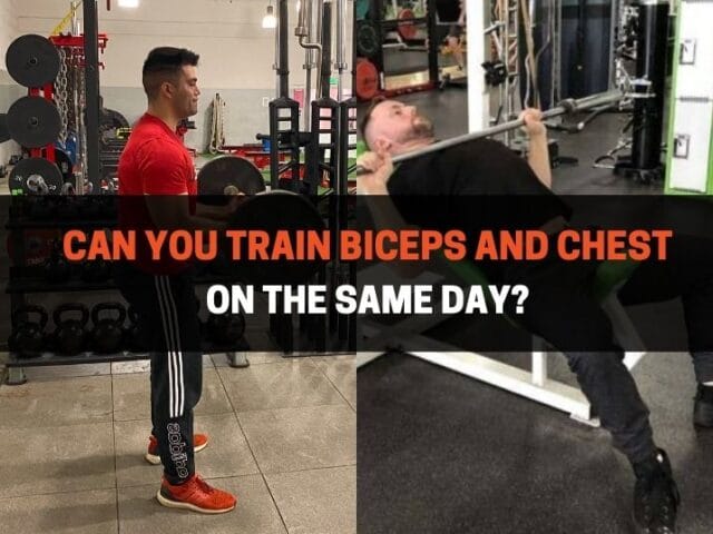 Can You Train Biceps And Chest On The Same Day? (3 Benefits)