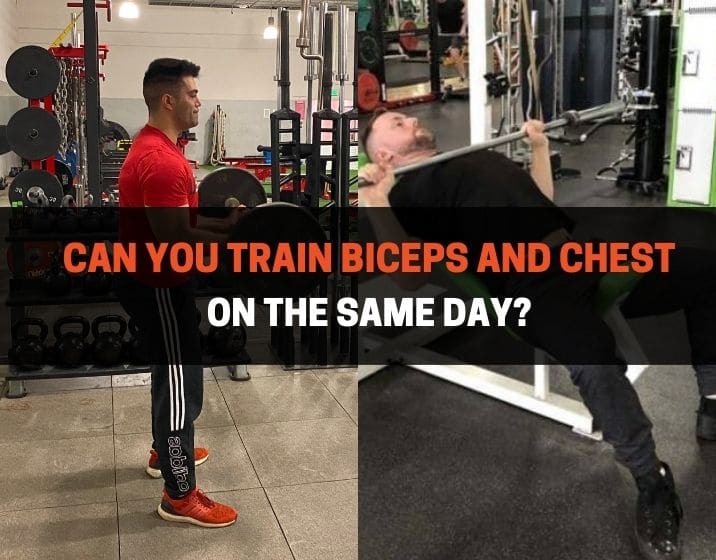 Can You Train Biceps And Chest On The Same Day
