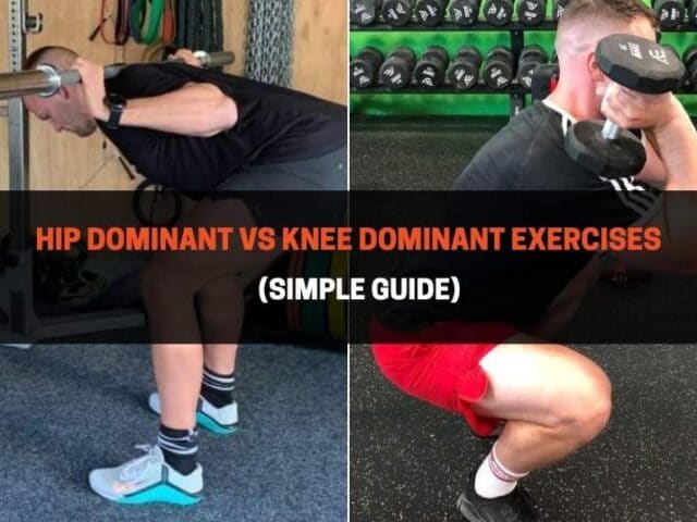 Hip Dominant vs Knee Dominant Exercises (Simple Guide)