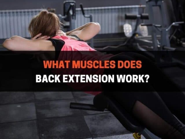 What Muscles Does Back Extension Work? A Simple Guide