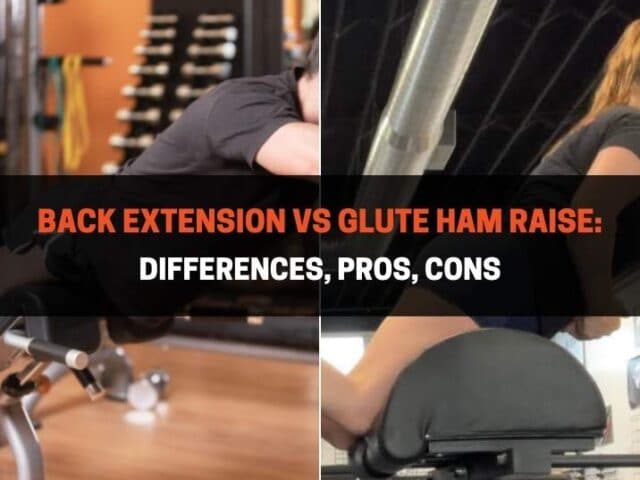 Back Extension vs Glute Ham Raise: Differences, Pros, Cons