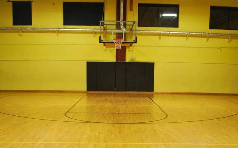 Gold’s Gym basketball