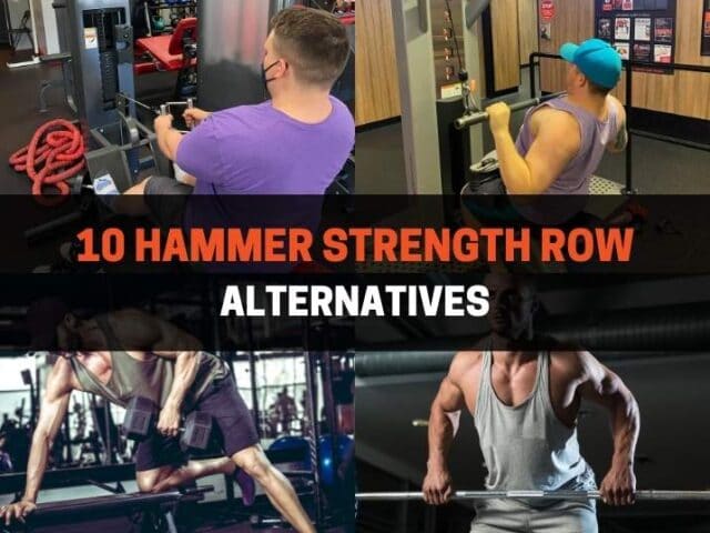 10 Hammer Strength Row Alternatives (With Pictures)