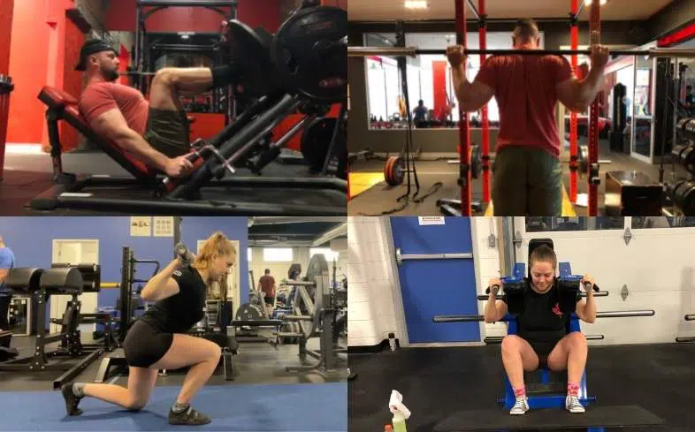 What makes a good sissy squat alternative?