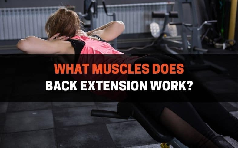 What muscles does back extension work?