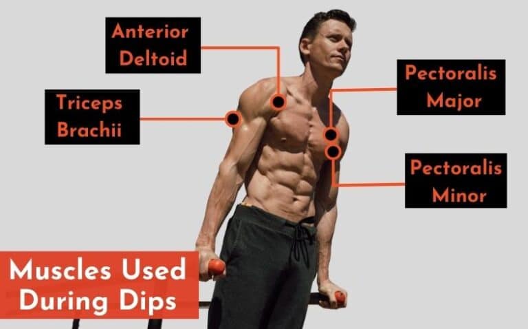 Dips vs Push Ups: Pros, Cons, Which Is Better? | PowerliftingTechnique.com