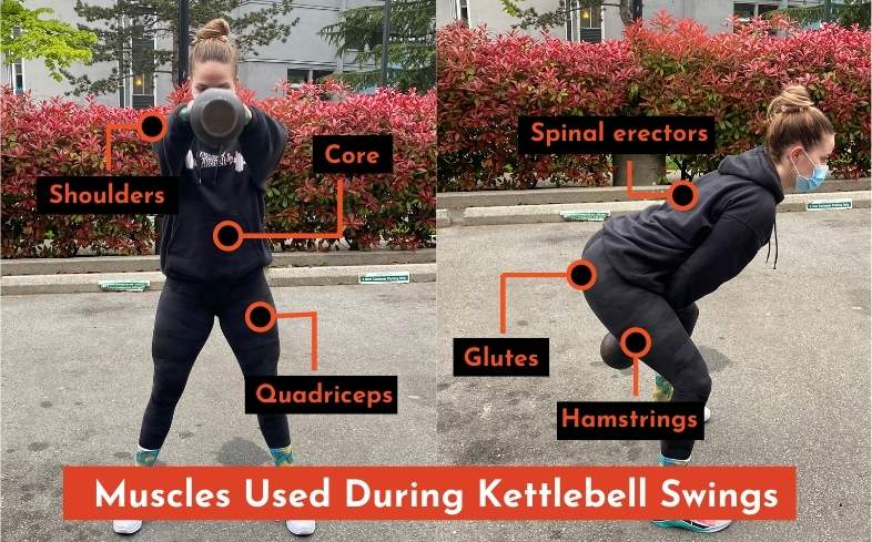 muscles used during kettlebell swings