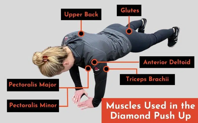 The muscles used in the diamond push up are pectoralis major and minor, triceps brachii, anterior deltoid, core, glutes and upper back.