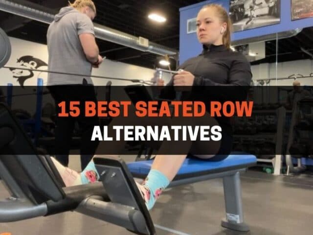 15 Best Seated Row Alternatives (With Pictures)