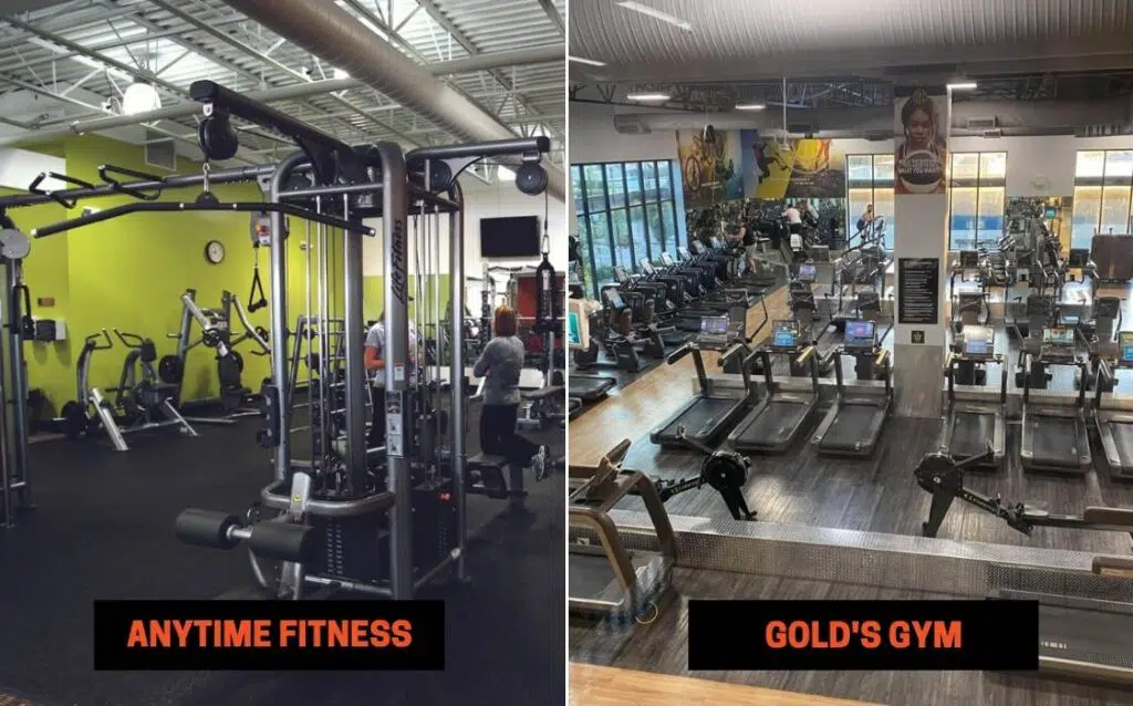 Anytime Fitness vs Goldโs Gym 10 Differences
