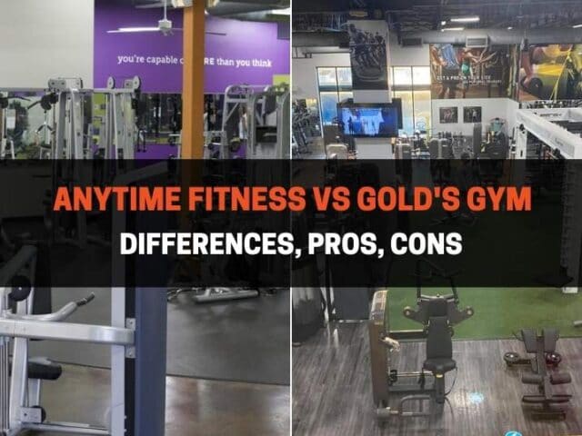 Anytime Fitness vs Gold’s Gym: Differences, Pros, Cons
