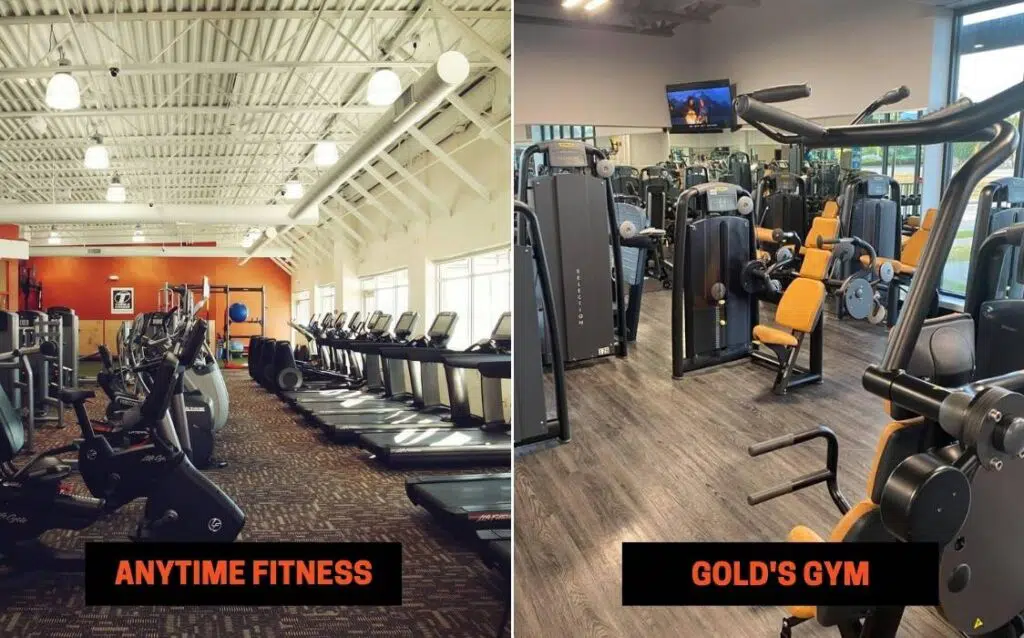 Anytime Fitness vs Goldโs Gym Equipment