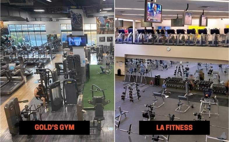 Gold’s Gym vs LA Fitness 10 Differences