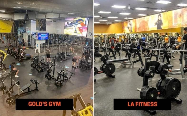 Gold’s Gym vs LA Fitness Equipment