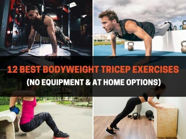12 Best Bodyweight Tricep Exercises (At Home & No Equipment)