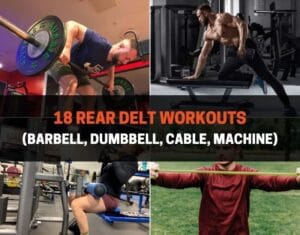 18 Rear Delt Workouts