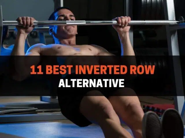 11 Best Inverted Row Alternative (With Pictures)