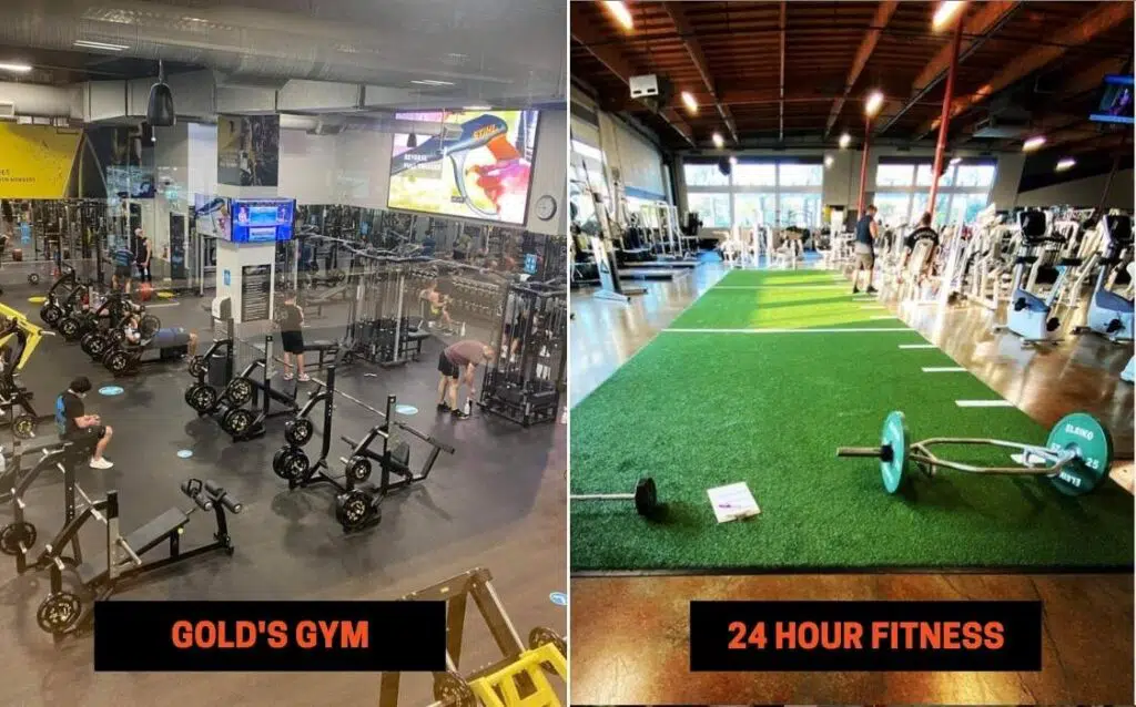 Goldโs Gym vs 24 Hour Fitness Equipment