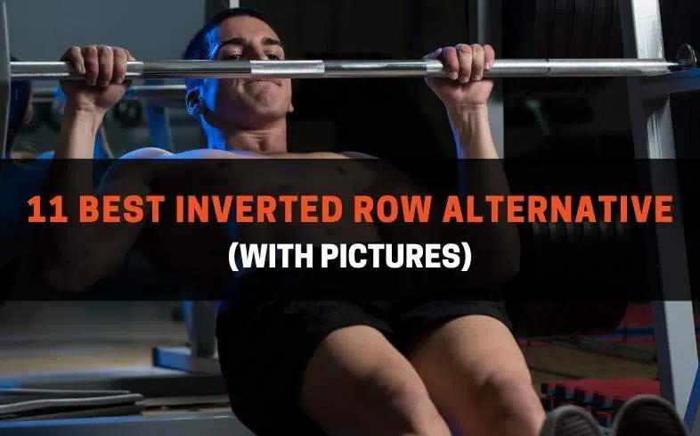 11 best inverted row alternative (with pictures)