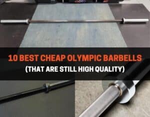 10 best cheap olympic barbells