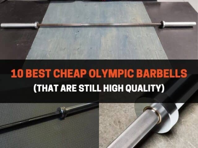 10 Best Cheap Barbells (That Are Still High Quality)
