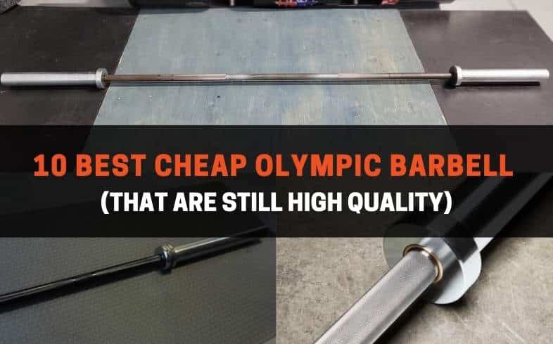 10 best cheap olympic barbells (that are still high quality)