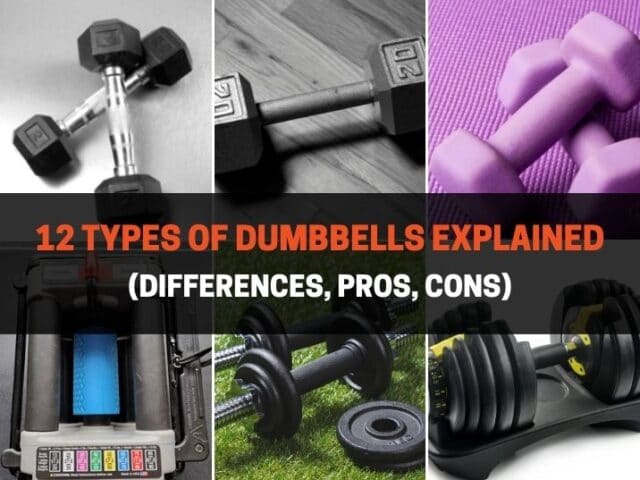 12 Types of Dumbbells Explained (Differences, Pros, Cons)
