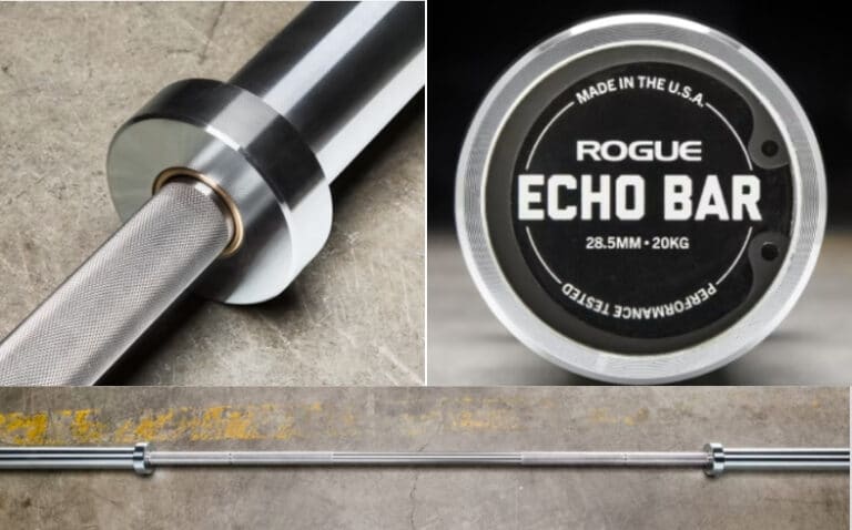 Rogue Echo Bar