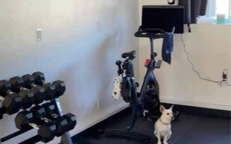 peloton bike plus